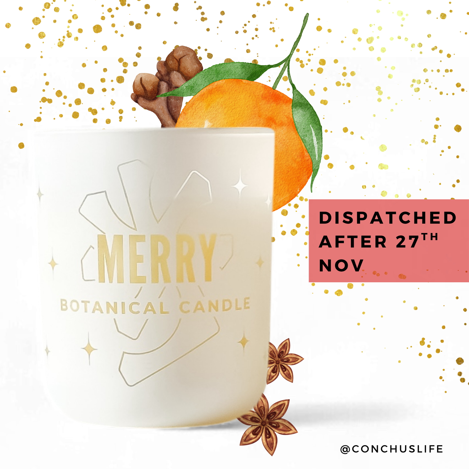 CONCHUS MERRY Botanical Candle in etched white vessel with festive orange and spice illustrations 